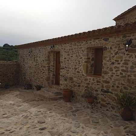 Villa Mas Baga à Gérone Extérieur photo